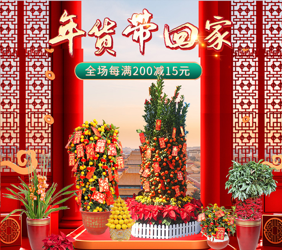 2023年广州年桔年花预定配送时间越来越紧张，有需要的赶快电联